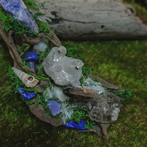 Witch's Tide Hollow Crystal Forest