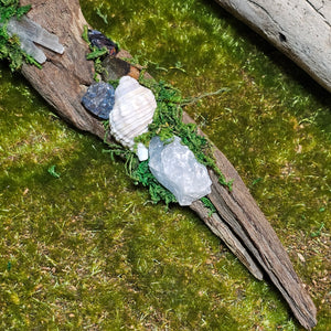 Witch's Tide Hollow Crystal Forest