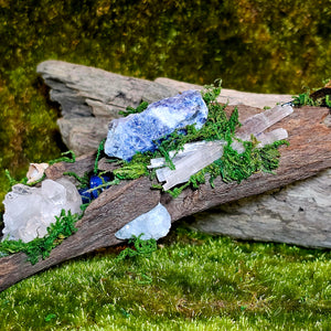 Witch's Tide Hollow Crystal Forest