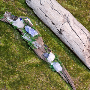 Witch's Tide Hollow Crystal Forest